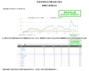 網(wǎng)站建設(shè)與維護(hù) 構(gòu)建數(shù)字門面并保障其長(zhǎng)效運(yùn)營